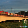 2024/09/26　8069　EH500-13