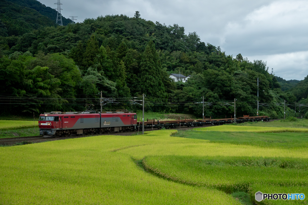 2025/09/11　9562　EH500-42