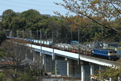 2022/04/12　4074　EF65-2101代走