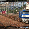 2024/08/18　74　EF210-124