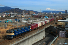 2025/02/16　5087　EF65-2084