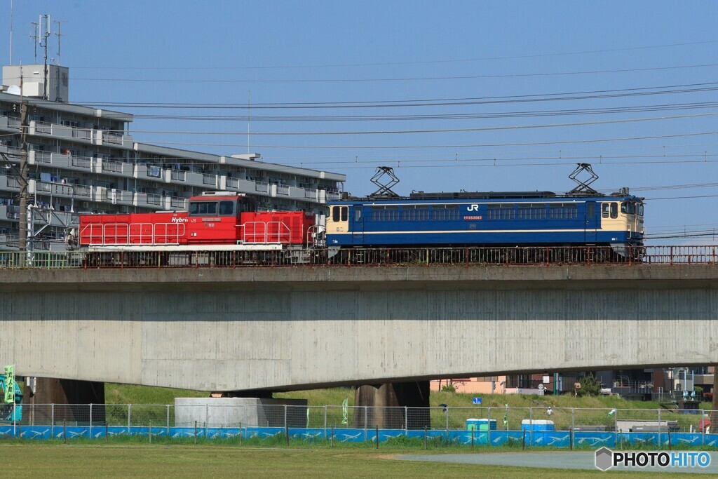 2025/05/08　単8590　EF65-2083+HD300-901