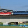 2025/05/08　単8590　EF65-2083+HD300-901