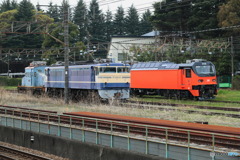 2024/04/06　EF65-535+ED31-3、E508+E507