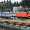 2024/04/06　EF65-535+ED31-3、E508+E507