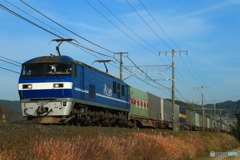 2023/12/09　1051　EF210-119