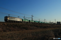 2024/03/15　8877　EF65-2089