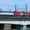 2023/05/16　単8283　EF65-2127+EH500-46