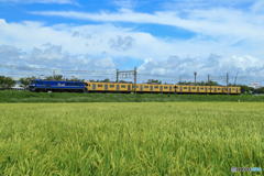 2025/07/27　9863　EF210-125