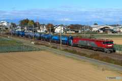 2024/12/01　8764　EH500-25+EH200-3