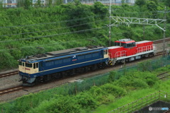 2024/07/10　単8677　EF65-2068+HD300-31