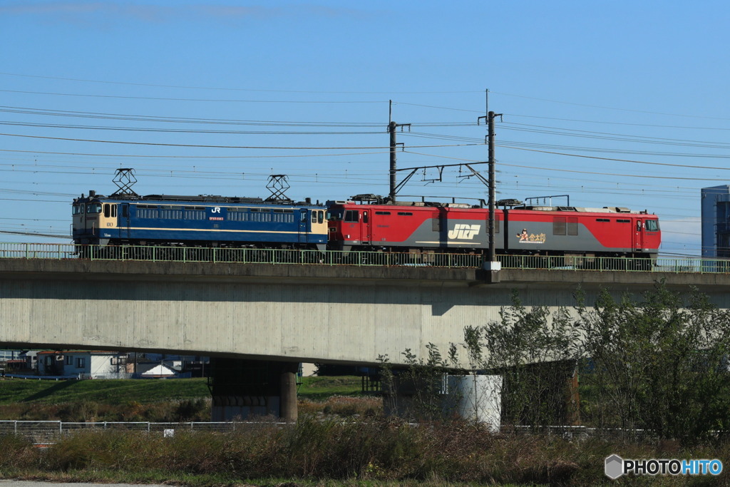 2024/11/19　単8283　EF65-2083+EH500-67