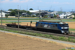 2024/07/23　単8790　EF210-150