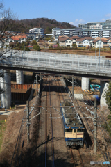 2025/03/09　単9772　EF65-2092