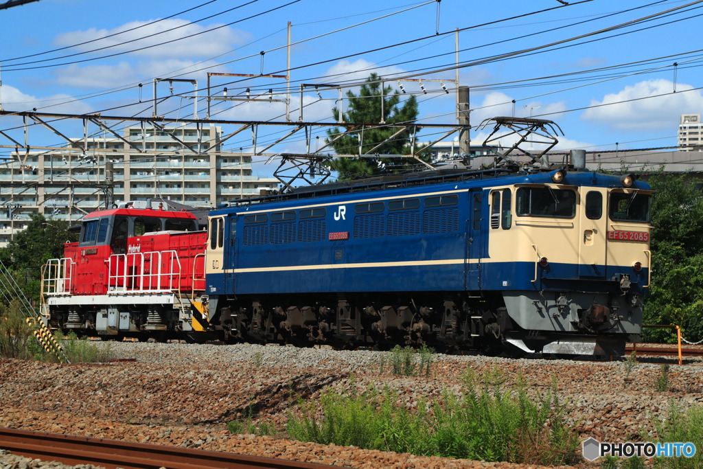 2024/09/26　単8676　EF65-2085+HD300-31