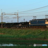 2023/07/17　8171　EF65-2074