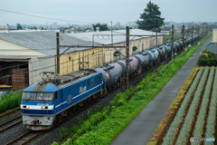 2025/08/11　5761　EF210-106