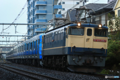 2024/11/21　9774　EF65-2067