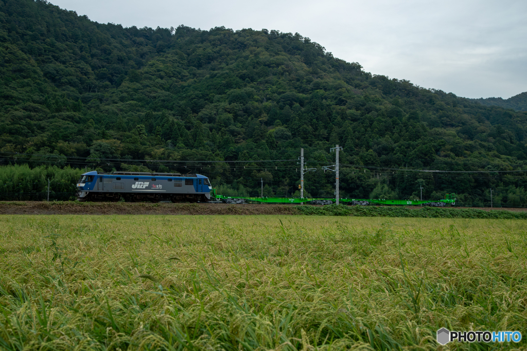 2025/09/10　9866　EF210-167