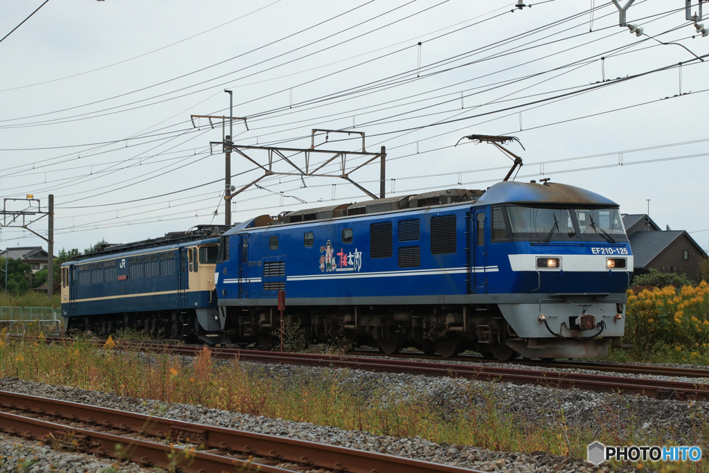 2025/10/25　出区　EF210-125+EF65-2096