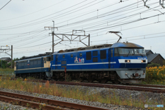 2025/10/25　出区　EF210-125+EF65-2096