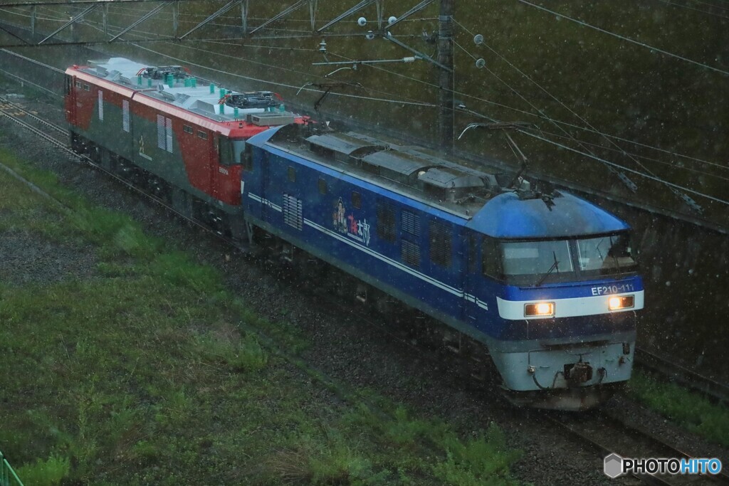 2024/07/31　単8282　EF210-111+EH500-54