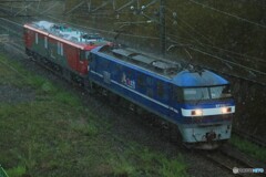 2024/07/31　単8282　EF210-111+EH500-54