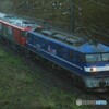 2024/07/31　単8282　EF210-111+EH500-54