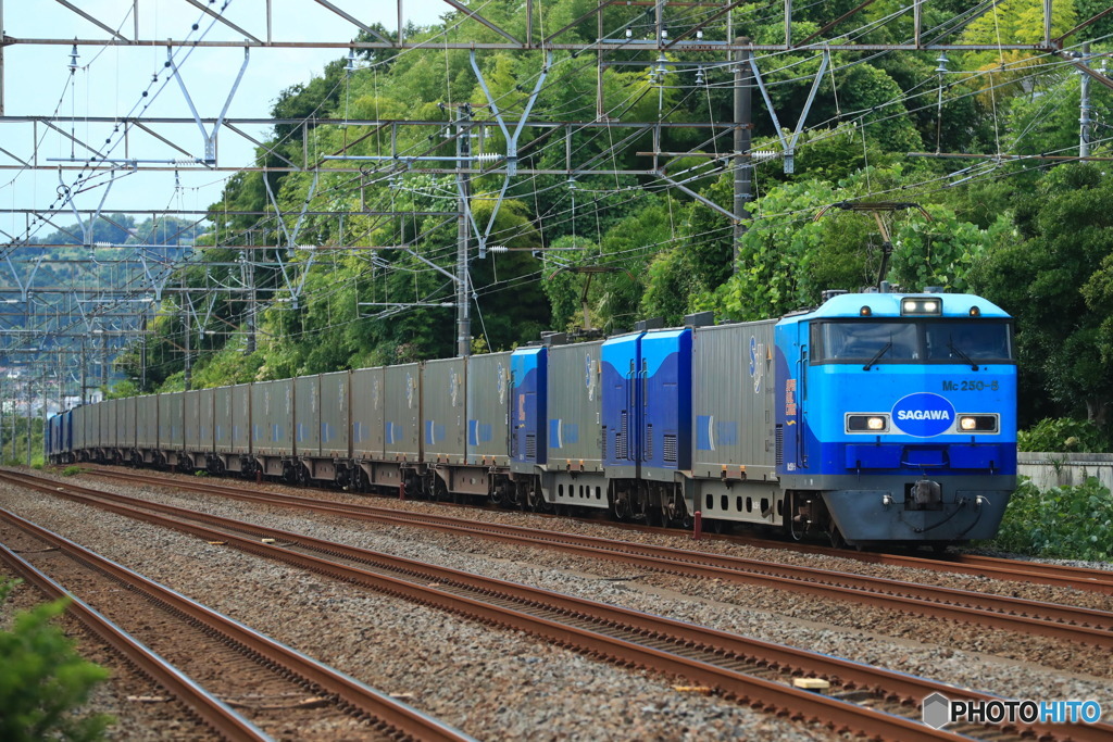 2024/08/25　50　Mc250-5+Mc250-6