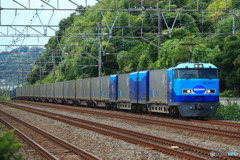2024/08/25　50　Mc250-5+Mc250-6