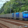2024/08/25　50　Mc250-5+Mc250-6
