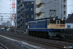 2025/03/15　単2099　EF65-2096