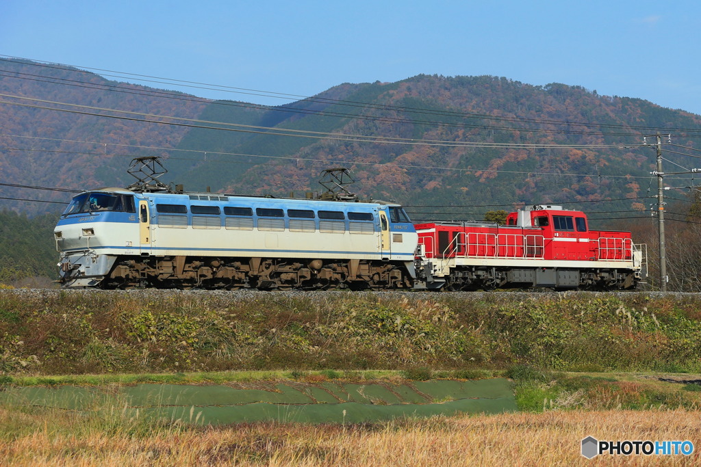 2023/12/09　8865　EF66-117+DD200-22