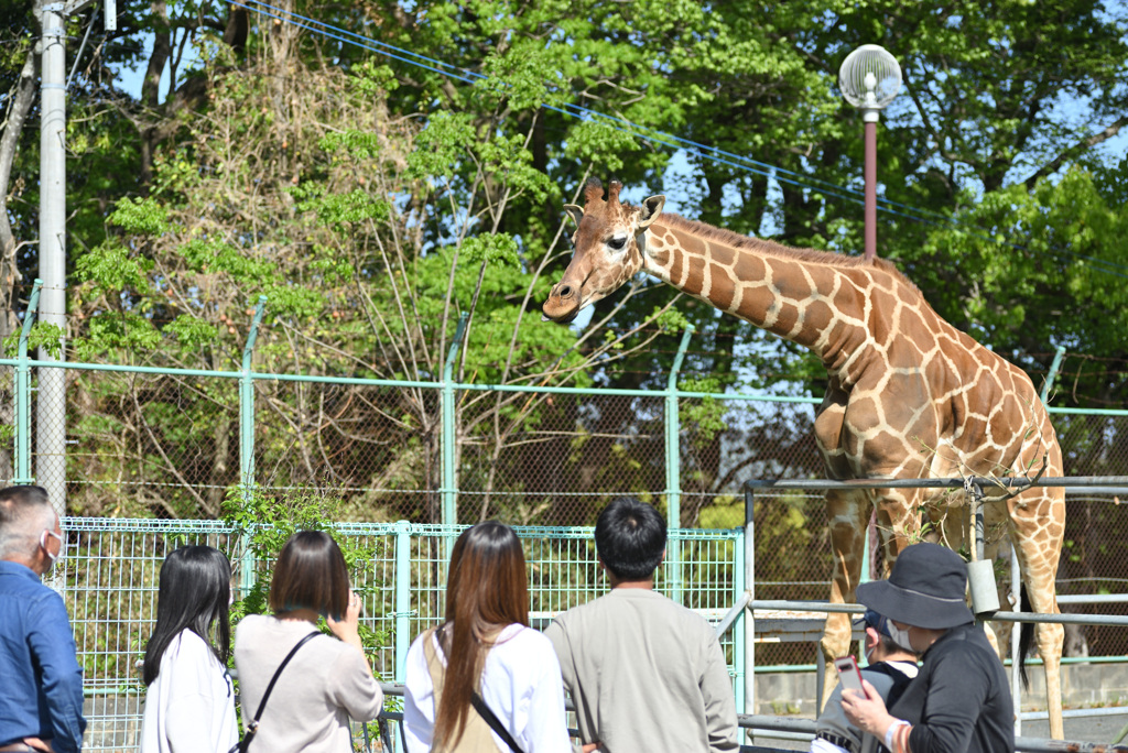 「やあみんな、今日は僕を見にきてくれてありがとう」