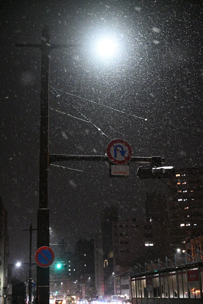 夜舞雪