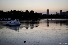 公園