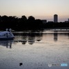 公園
