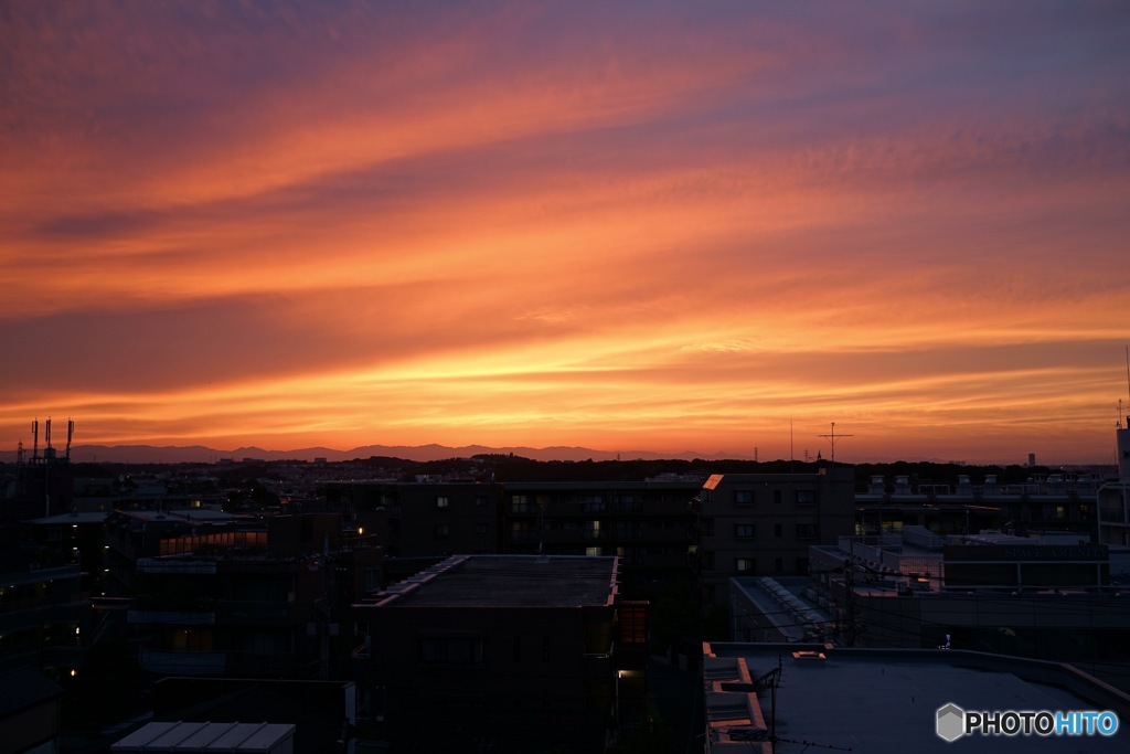 夕日