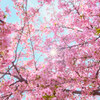 DSCF0456