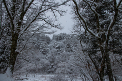 雪