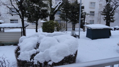 東京の大雪