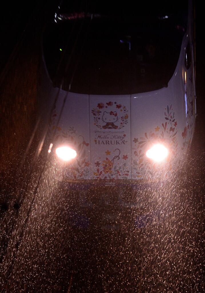 大雨の「はるかキティ」