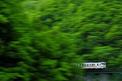 新緑の高山本線