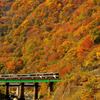 紅葉が美しい高山本線