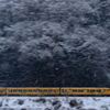 雪の中を行く「明智光秀ラッピング車両」