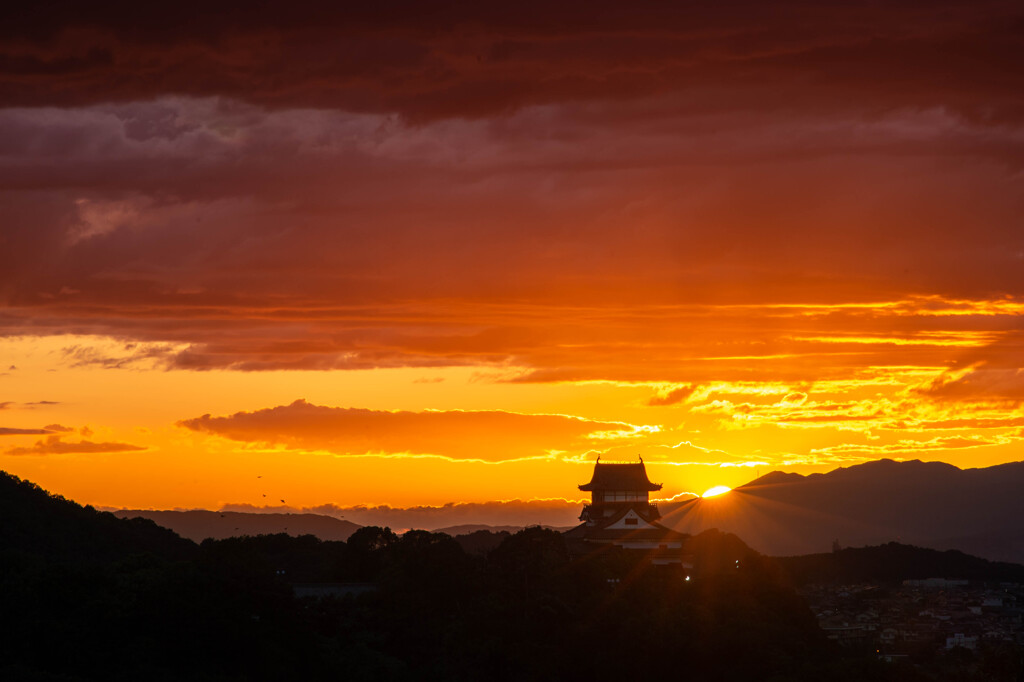 犬山城夕景-20