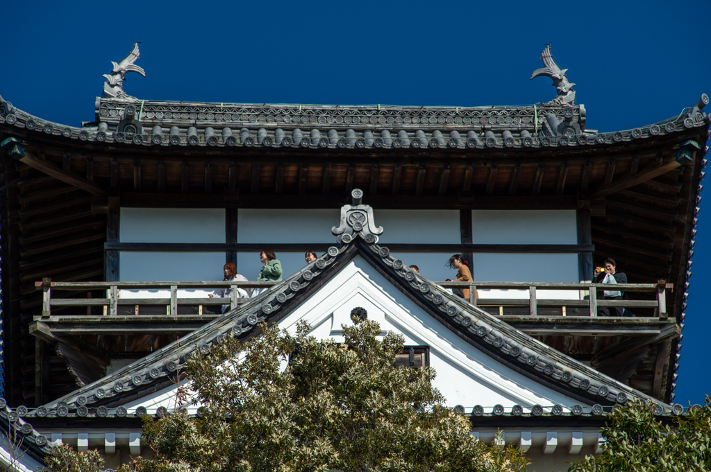 犬山城天守閣