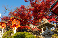 犬山成田山-23