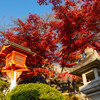 犬山成田山-23