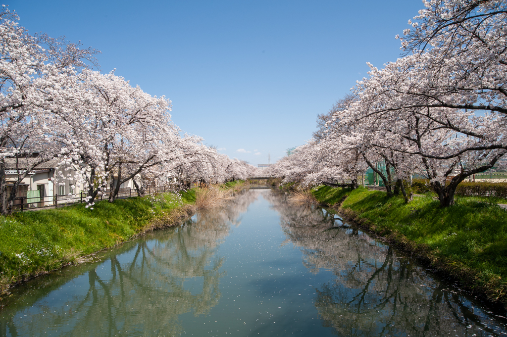 五条川 (14)